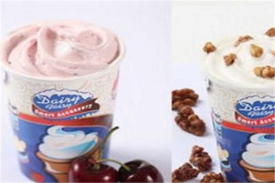 DF冰雪精靈冰淇淋加盟 開啟甜蜜事業的黃金選擇