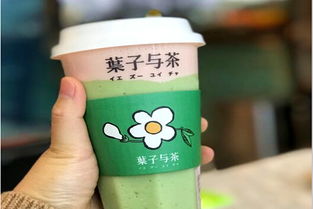 加盟葉子與茶需多少費用？冰淇淋加盟機(jī)遇解析